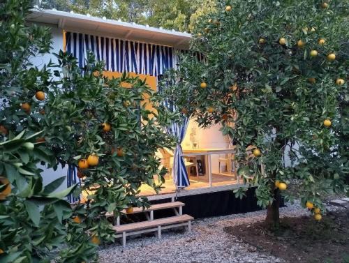 Konyaalti House | Citrrus bungalo 5 km to see