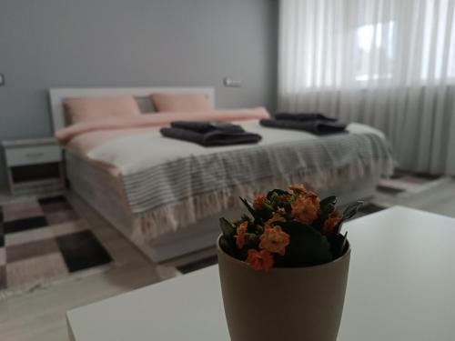 Gotse Delchev Apartment | City Apartment