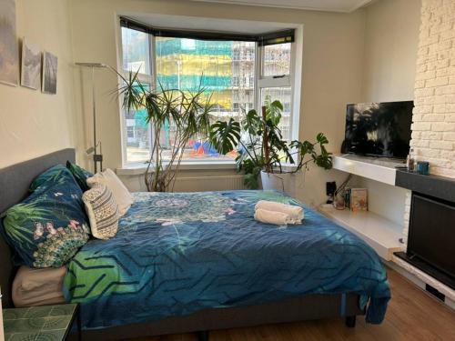 Groningen House | City Center Rooms with Shared Facilities by UMCG