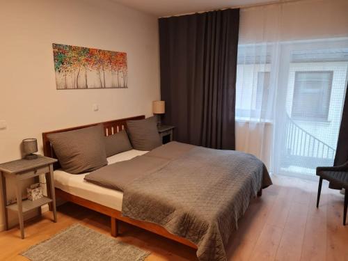 Innenstadt House | City Pension Zwickau