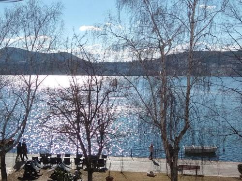 Kastoria Apartment | CK Lake View