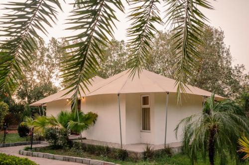 Sawai Madhopur Resort | Clarks Safari Ranthambore
