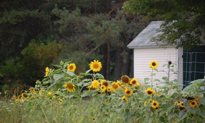 Jefferson Bed & Breakfast | Clary Lake Bed and Breakfast