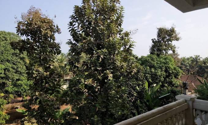 Vanelim Apartment | Classic 1-Bedroom Apartment at Colva, Goa