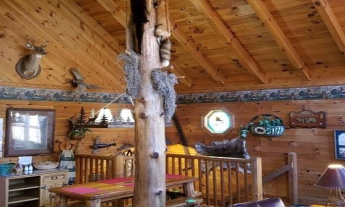 Pigeon Forge Cabin | CLASSIC ARCADE GAMES💥Recent Peacock & Bear Sightings💥DAYS TILL MAY 28TH $99ea