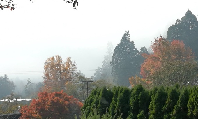 Corvallis Apartment | Clean Private Studio - Centrally Located in a Very Beautiful Neighborhood
