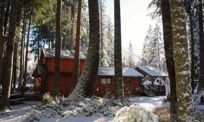 Ashford Cabin | Close to Mt. Rainier. AC in the summer Wood stove for Emergency heat & cooking.