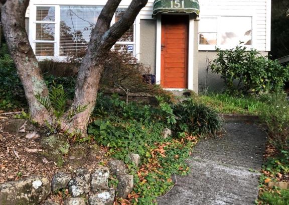 Wellington Apartment | Close To Nature & City