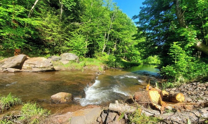 Maplecrest Cottage | Close to skiing in Windham and Hunter, hiking, lakes, 20+restaurants