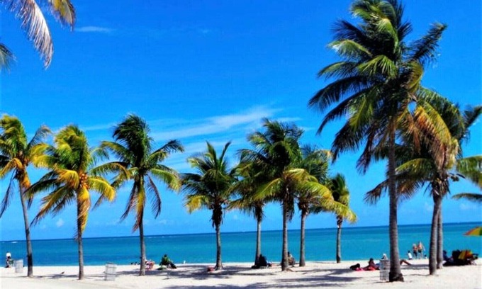 Key Biscayne Apartment | Close to the Beach spacious One Bedroom with Pool