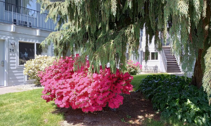 Burlington Hotel | Cocusa Motel