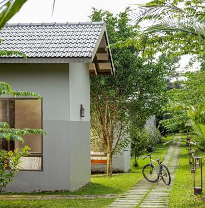 Vayittiri Resort | Coffee Greens Resort