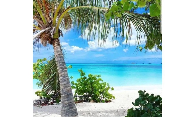 Jolly Harbour Villa | Colibri Court #13 - Refreshingly Different (2 Bedroom)