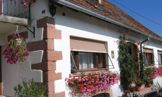 Neuve-Eglise Cottage | Come and discover the Floralies in the heart of the Val de Villé