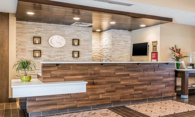 Florence Hotel | Comfort Suites Florence - Cincinnati South