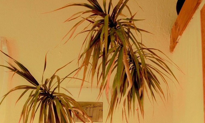 Taos House | Comfortable home in historic acequia neighborhood