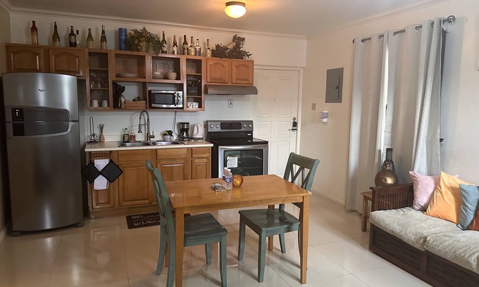 New Kingston Apartment | Comfy and Secure One Bedroom Apt- Sleeps 3!