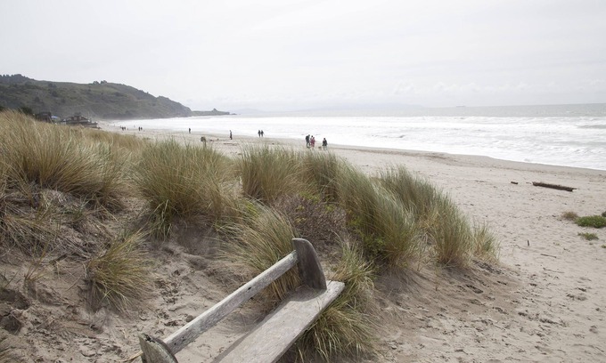 Stinson Beach House | Completely Updated & Utterly Peaceful Stinson Beach Retreat