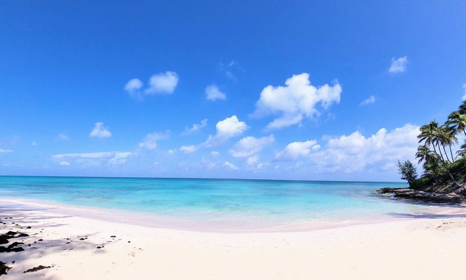 North Palmetto Point Cottage | Conch'd Out Beach Cottage: Semi-private beach. Ocean views. Adults only.