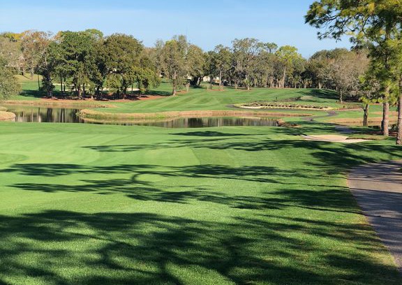 Palm Harbor Apartment | Condo at Innisbrook - home of the PGA Valspar Tourn