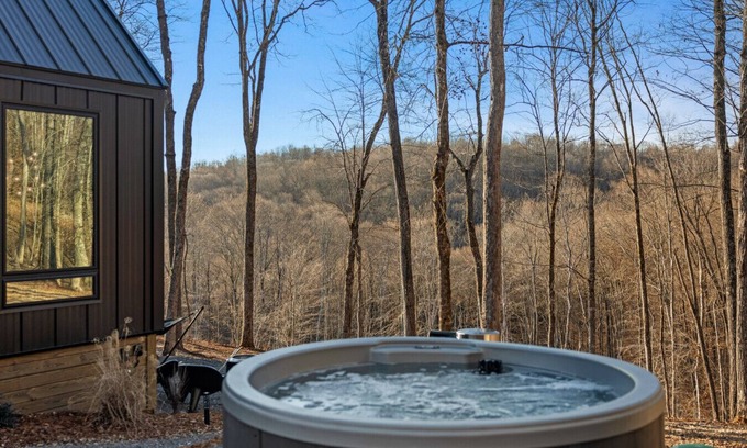 Almont Cabin | Constellation Virgo Suite