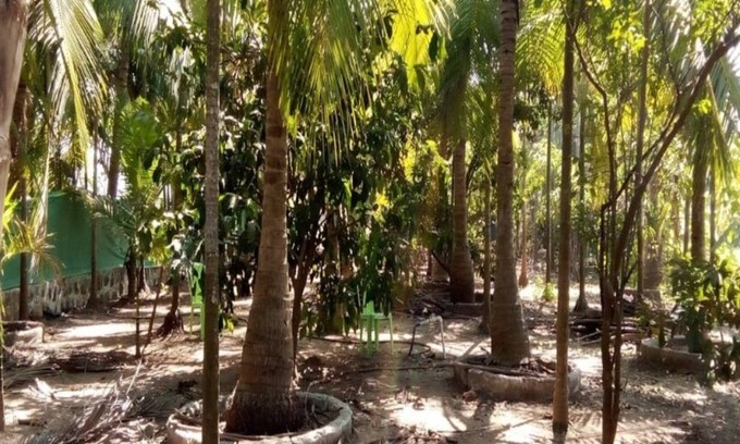Nagaon Cottage | COOL & PLEASENT STAY IN NATUTRE @ DAKWE COTTAGE WITH DELICIOUS FOOD , NEAR BEACH