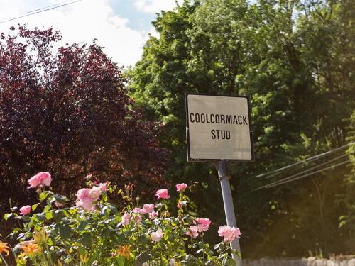 Dungarvan Bed & Breakfast | Coolcormack Stud B&B