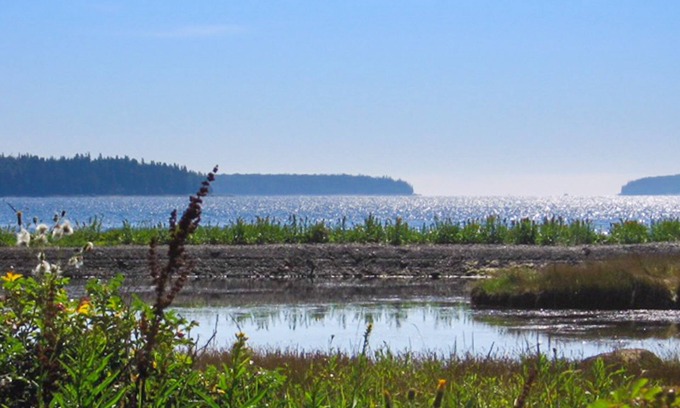Chester Cottage | Cooperage Cottage - Peaceful & Family Friendly, Oceanfront