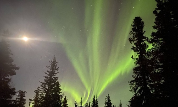 Cantwell Apartment | *Copper Cabin *Studio apartment* *Alaskan comfort near Denali Park* Washer/Dryer
