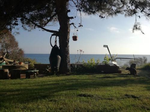 Agios Matthaios House | Corfu sea front apartment,The nest II