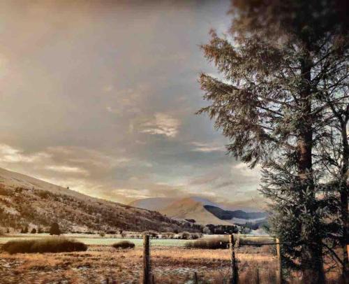 Saint John's Town of Dalry House | Corlae Cottage, mountain and forest views