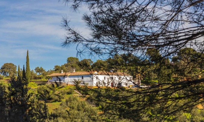 Villaviciosa de Cordoba House | Cortijo Isla Virgen. Un Paraje por Descubrir. Las Mascotas son Bienvenidas