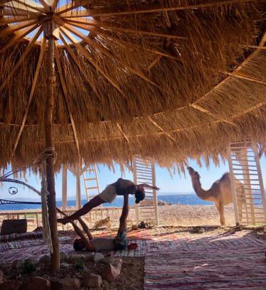 Dahab Other | COSMOS nature Lodge and Spiritual community