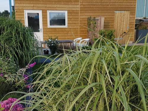 Uitwellingerga Ski Chalet | Costa del Twel