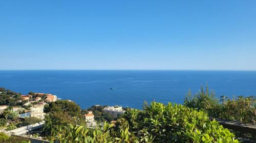 Cap d'Ail Apartment | Costa Plana apartment with terrace and sea view