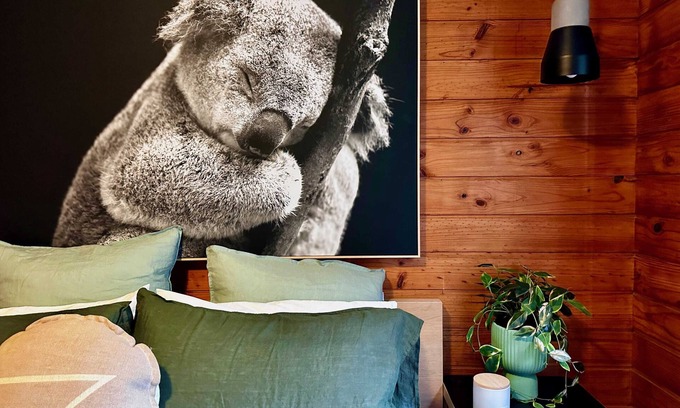 Kangaroo Valley Cabin | Cosy Cabin, Kangaroo Valley Golf Resort- Wildlife