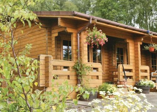 Killin Cabin | Cosy & compact Rowan Lodge no4