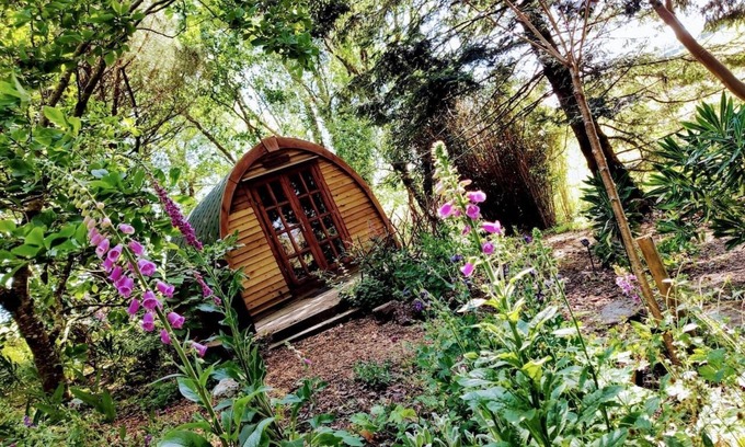 Saltash Cabin | Cosy Glamping at The Greenhouse Spa Retreat