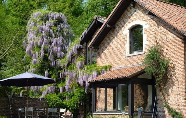 Dilbeek House | Cosy Lodge