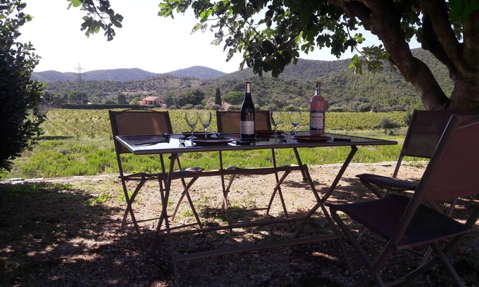 Bormes-Les-Mimosas House | Cottage (88m2) surrounded by vineyards. located 6 km from the sea
