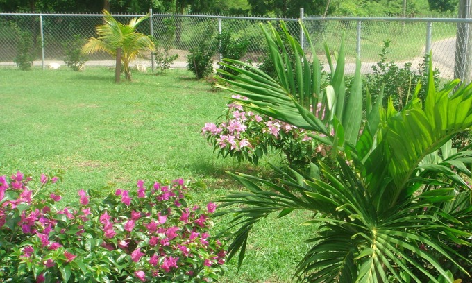 St. John's Cottage | Cottage for rent near Dickenson bay beach
