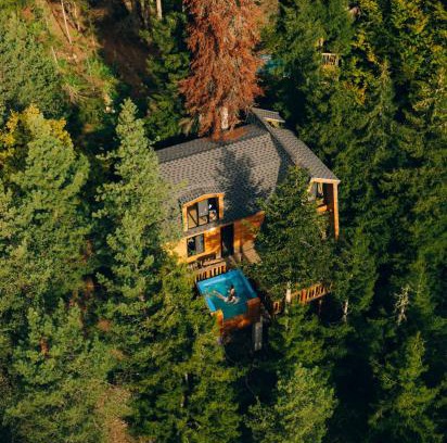 Abastumani Cabin | Cottage Galileo in Abastumani