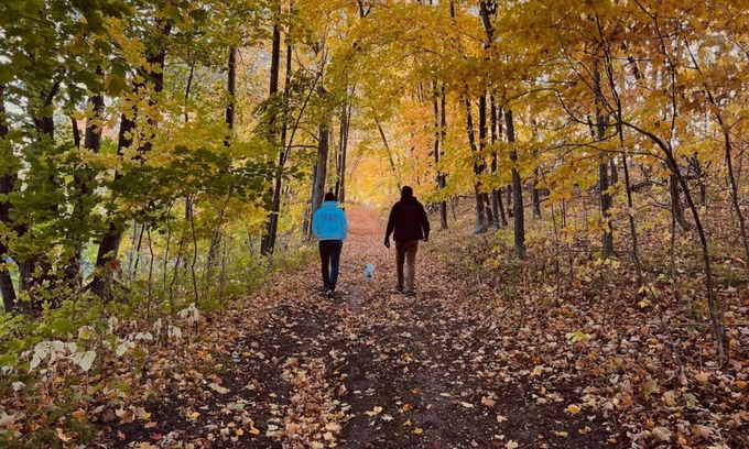 Clitherall Cottage | Cottage I | Escape to the Tranquil Beauty at Spitzer Lake ! | Legacy Lakeside Resort