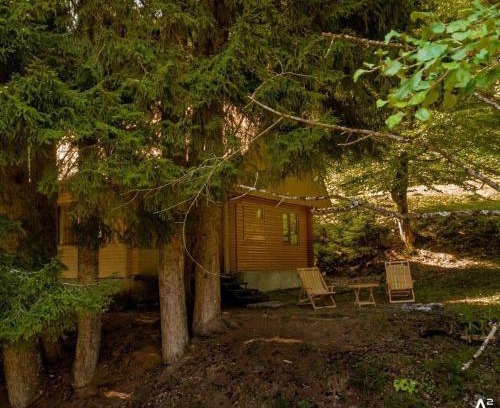 Lentekhi Cabin | Cottage in Muashi, Svaneti