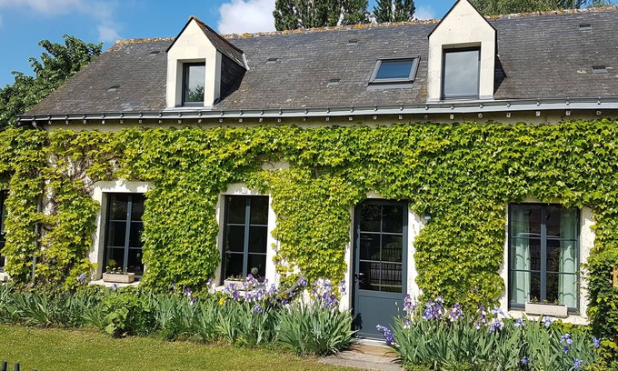 Les Rosiers-sur-Loire House | Cottage "Loire Lights"