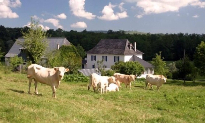 Aramits House | Cottage L'Ostau Barétous Pyrénées for 5 persons