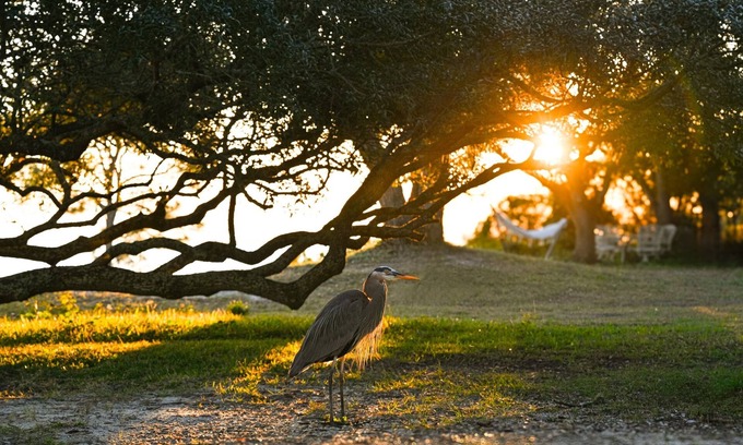 Navarre Cottage | Cottage with Beach Access, Sunset Views!