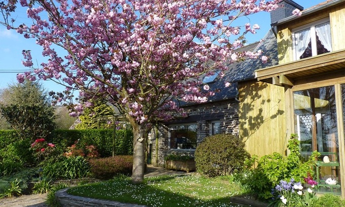 Plestin-les-Greves House | country house in Plestin les Grèves