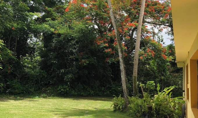 Tortugo House | Country in the City. Surround by nature. Close driving to places to enjoy PR.