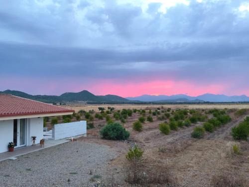 Villaspeciosa Apartment | Countryside guest accomodation near Cagliari